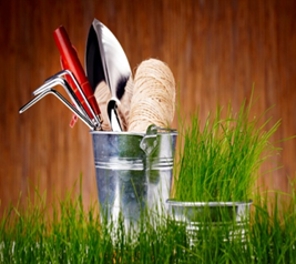 Сопутствующие товары